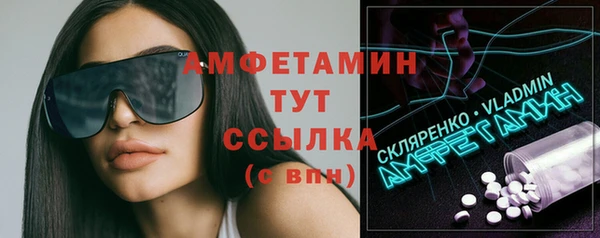 мдпв Бородино