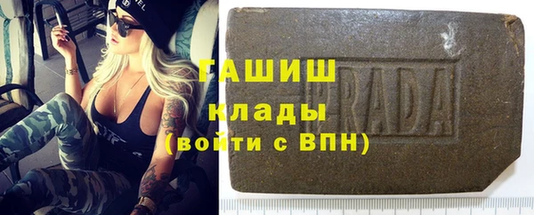 мдпв Бородино