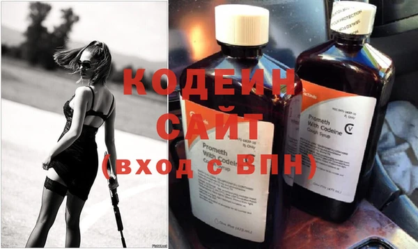 мдпв Бородино