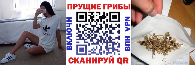 Псилоцибиновые грибы Cubensis Купить закладки Лахденпохья